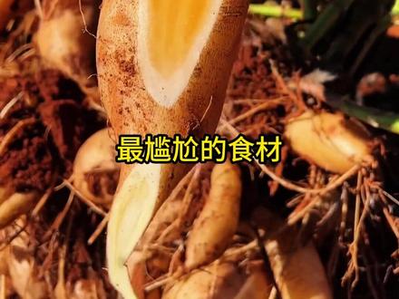 最尴尬的食材! 最尴尬的食材!