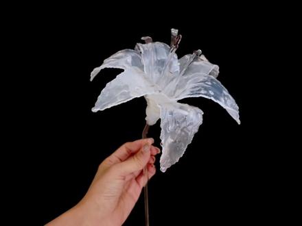 当拼豆进化出玻璃形态……❄️冰透百合
肝了几天又给大家带来新的研究成果了宝宝们
老早之前就想做了 正好碰到高透豆横空出世 岂不是天助我也!
灵感来源于@花伍鲜花app·森森纸艺 老师的玻璃脆皮百合非常貌美
正好自己之前也出过拼豆百合花花 就想着借此机会赶紧做一个#拼豆 #拼豆豆 #拼豆图纸 #玻璃花 #拼豆教程