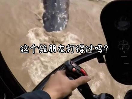 “这个我朋友打得过吗?” #动物 #森蚺 #巨兽 #神奇动物在抖音 #动物世界