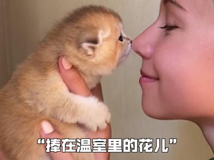 为什么现在的猫不抓老鼠了?#猫咪 #猫和老鼠 #萌宠日常记录 @抖音小助手 @DOU+小助手