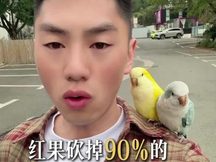 AI漫剧崛起,真人短剧没落?!#AI #AI漫剧 #红果短剧 #行业内幕 #抖音职场茶水间