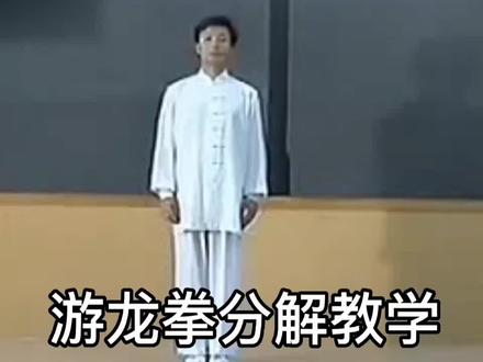 #武当游龙拳分解教学 正面 21一30式