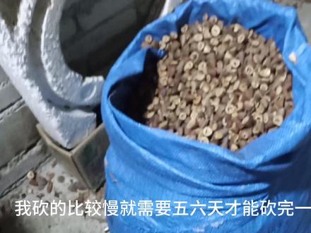 那些评论说橄榄核和橄榄仁是用来干嘛的,这个视频告诉你#记录我的农村生活 #记录真实生活 #乡村生活