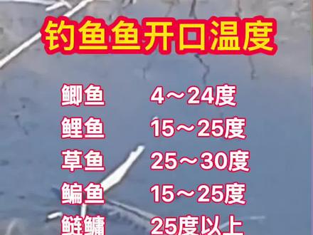 鱼开口最好的温度#钓鱼人 #户外钓鱼#户外钓鱼#钓鱼知识
