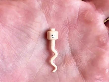 史上最矮的乐高人仔! #乐高人仔 #乐高 #积木