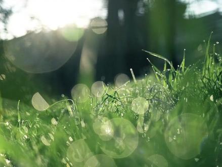 立夏分享,对自己好一点,从来都不是自私~ #立夏 #梁冬 #对自己好一点 #周易 #易经