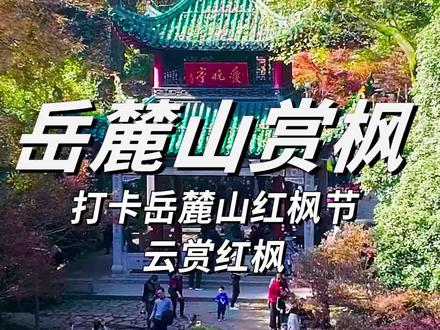 岳麓山的枫叶终于红了!快带上喜欢的人,来赴一场长沙初冬限定的约会吧~#岳麓山红枫节 #岳麓山的枫叶红了 #岳麓山 #长沙旅游