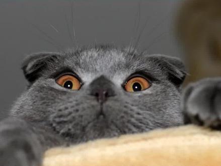 你在马路上都见过哪些饼 #内容搜索启发 #知识领航者 #我的宝藏作者 #推荐喜欢的作者