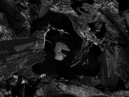 丧歌不哭:笑着沉入染缸#草东没有派对 #缸 #摇滚