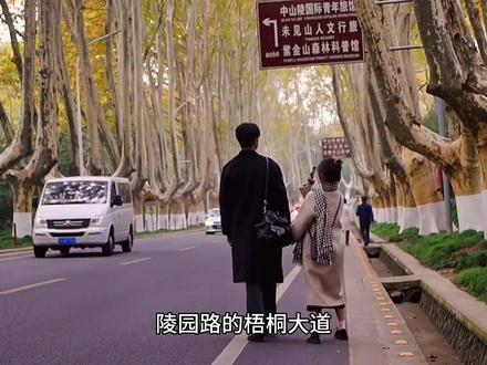 这份只属于南京的秋日童话你遇见了几个?是梧桐大道还是落羽杉林
#南京 #千年银杏古树 #南京梧桐大道 #秋天