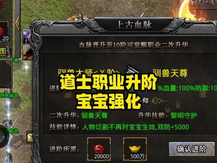 道士升阶,宝宝强化#好玩的传奇手游 #传奇攻略 #祖玛传奇