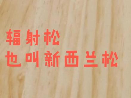 #你是什么木@又三月二少 你以为的新西兰松应该是这样的!