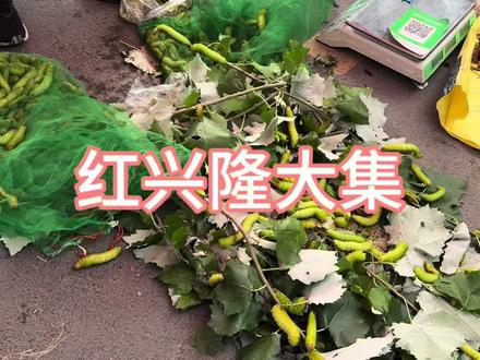 红兴隆大集😁都是好吃的