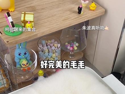 重新挑战霉豆腐 这次腌制得够味了吧 #霉豆腐 #自制霉豆腐 #自制美食