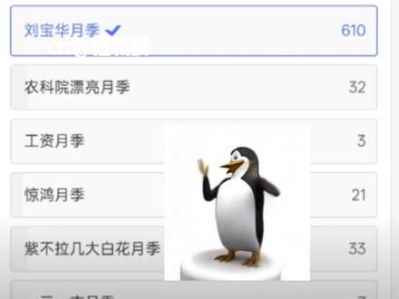 网友:二舅,这是我为你争得的“诰命” #宝华月季 #农科院 #抽象 #搞笑 #万万没想到