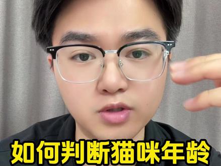 如何判断猫咪年龄? #铲屎官 #新手养猫 #干活分享