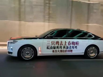 三只鸡上春晚#皖南麻黄鸡 #淘汰蛋鸡 #春晚三只鸡