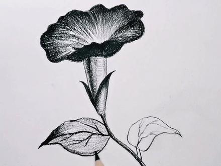 喇叭花的画法,你学会了吗?