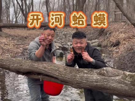 刚开河的大母豹子,趁着还没混籽抓紧搂一顿,味道鲜美无比!#东北农村生活vlog #原生态乡村生活 #母豹子 #酱焖林蛙 #真实户外