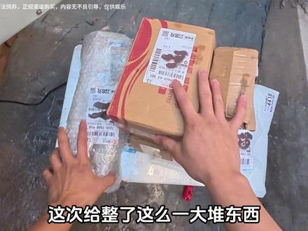 挑战粉丝寄快递,最后来了个生化武器!#亚马逊雨林