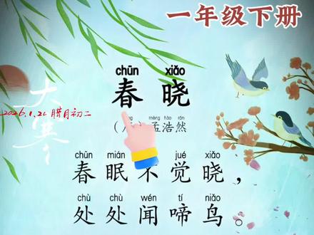 《春晓》一年级下册背诵古诗,《春晓》唐孟浩然,春晓古诗翻译讲解!#小学必背古诗 #一年级下册语文 #古诗 #幼小衔接 #每日古诗词