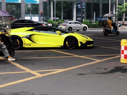 哇又又又来发牛叫声了#苹果原相机 #与我合拍 #哎我就是停不下来