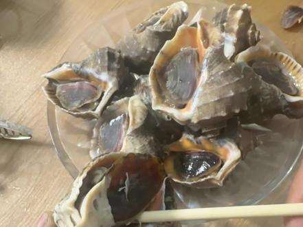 如何正确的吃海螺#海鲜 #海螺的正确吃法 #海螺 #海鲜美食