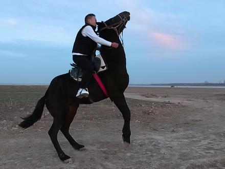 今天的表现能通过考验吗兄弟们