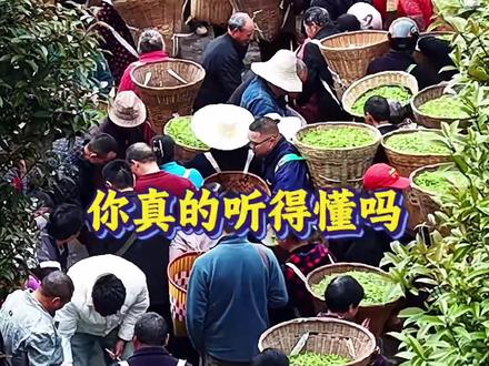 真正的四川话,你能听得懂吗?#四川方言#四川方言搞笑#生动有趣