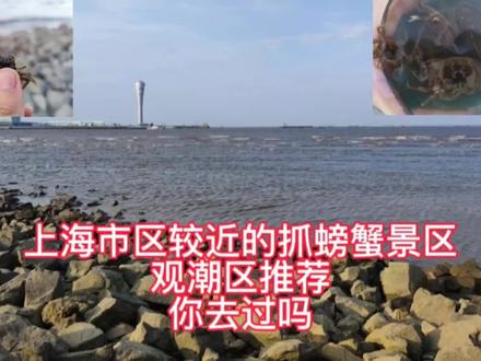 上海市区附近能抓螃蟹能看海涨潮的地方,你去过了吗?#抓螃蟹 #赶海 #螃蟹 #黄浦江 #带你去看海