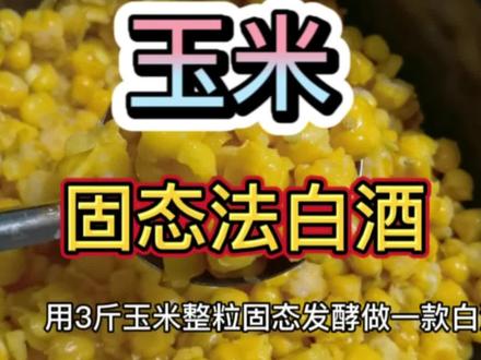 玉米酒酿造方法完整版,纯粮食固态发酵蒸馏包谷酒,好喝不上头。#传统工艺酿酒#纯粮酿造 #纯粮食酒#dou上热门 @DOU+小助手