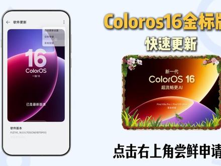 我看谁还没更新Coloros金标系统 还没收到推送?试试这一招#Coloros #Coloros16 #系统更新
