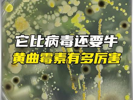 这是比病毒还毒的神秘物质!#未解之谜 #纪录片 #科普
