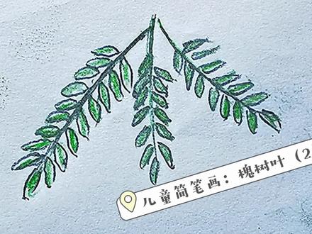 儿童简笔画:槐树叶(2) #一起学画画