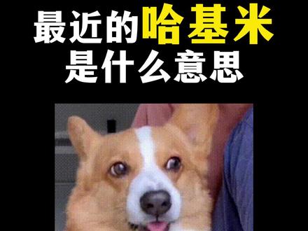日语相关:哈基米哈基米哈基米...(被洗nao)#日语 #日语学习 #哈基米 #零基础学日语 #日语单词