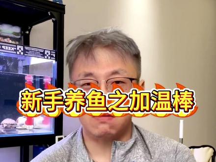 加温棒如何选择 #新手养鱼 #养鱼日记