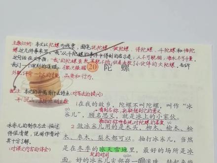 #四年级上册语文 四年级上册语文《陀螺》考点精讲