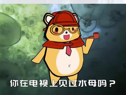 为什么水母能预知风暴#十万分好奇@抖音青少年#原创视频#动物#科普#涨知识