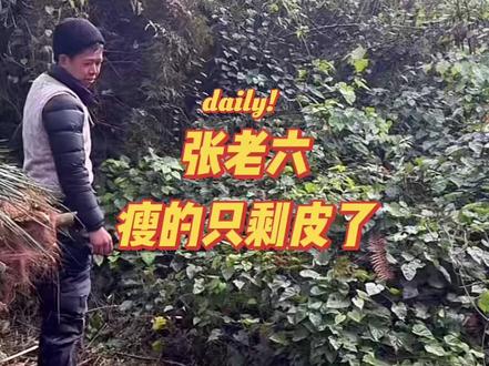 这一波圈粉了#张家界七星山骆驼杯 #老六荒野 #荒野求生 #原创视频 #荒野张老六