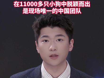 #演员霍思燕携中国原生西施犬在国际犬展上拿到总冠军 是现场唯一的中国团队!