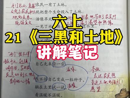 六年级上册第21课《三黑和土地》详细讲解笔记#六年级#课堂笔记#小升初#小学语文#每天学习一点点