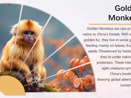 PPT扇形打开效果,太高级了#ppt #ppt教学 #ps小技巧 #办公技巧 #青年创作者成长计划