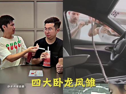 “有卧龙的地方必有凤雏” #搞笑 #卧龙凤雏