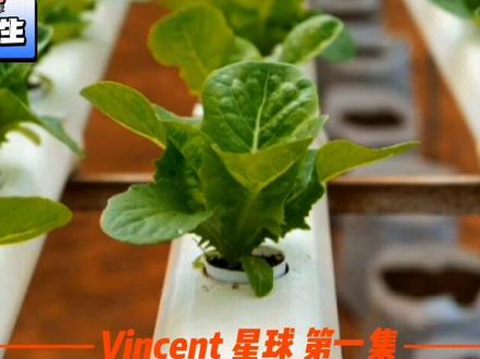 感谢 鱼博士 关于 鱼菜共生的讲解 、希望后续的相关视频资料 能让大家 对 鱼菜共生 有新的认识🐳🌾#鱼菜共生系统 #水产养殖 #高密度养殖 #微纳米气泡 #科普 #涨知识