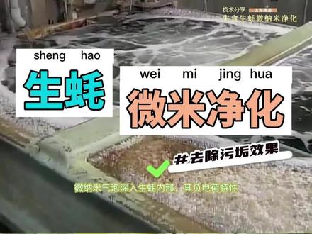 #生蚝净化 到#刺身生蚝 ,看看是用什么技术净化出来的#生蚝净化#农业技术 #微纳米气泡