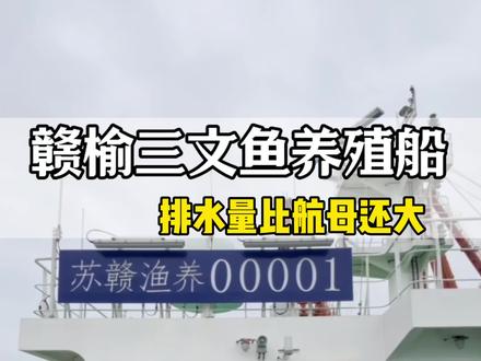 连云港赣榆要带大家实现三文鱼自由了 这是江苏#赣榆 的三文鱼养殖船,年产8000吨三文鱼,可在船上直接加工,每分钟能加工16条鱼,来#连云港 旅游吃海鲜真的好有性价比#连云港旅游攻略 #赣榆海鲜 #抖音旅游推荐官