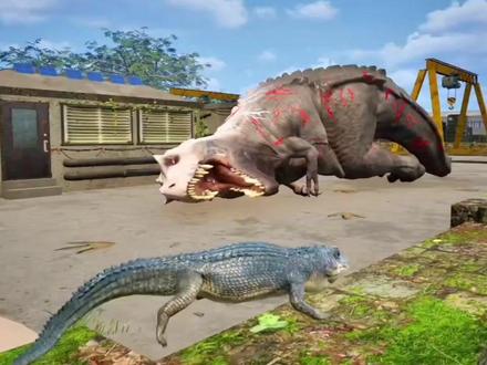 11月20号(上)潇龙飞,鳄鱼岛大猎杀