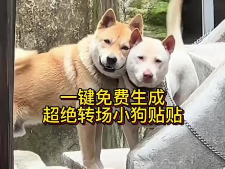 小狗依偎在一起转场教程 好朋友两只小狗贴贴意味在一起转场特效视频来啦!!超绝转场特效,快来看超绝模板入口#剪映 #剪映模版 #狗狗转场 #搞笑 #萌宠