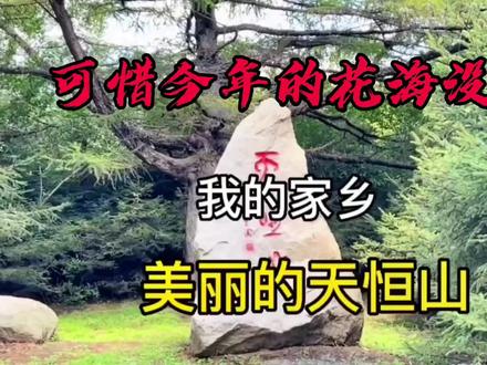 今年的天恒山没了花海😭