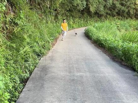 男子被狗追咬,为了报复狗,在路上画只猎豹吓唬狗